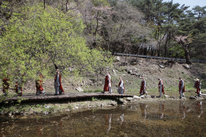 2021.04.07_해인사 자비순례 (7)